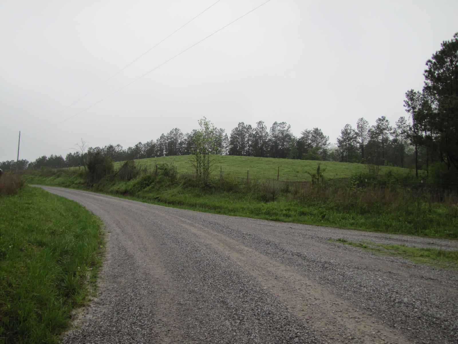 333 Liberty Church Road Old Fort, TN 37362 - Photo 10 of 15 IMG_5033
