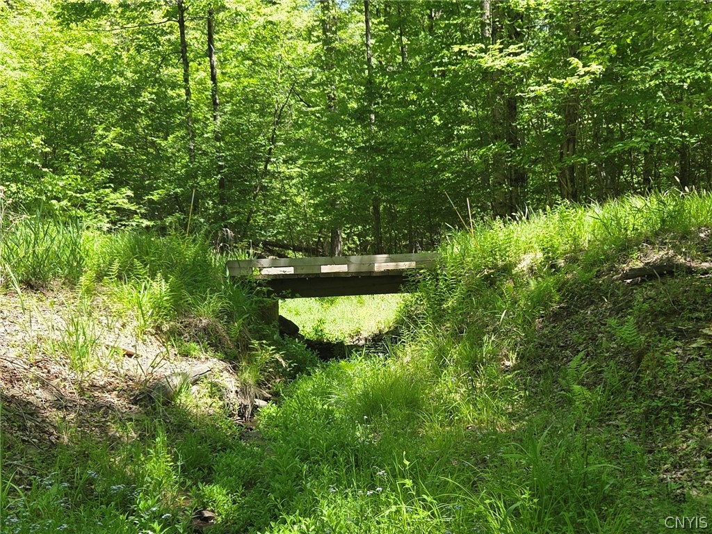 Lillibridge Road Olean, NY 14760 - Photo 12 of 48