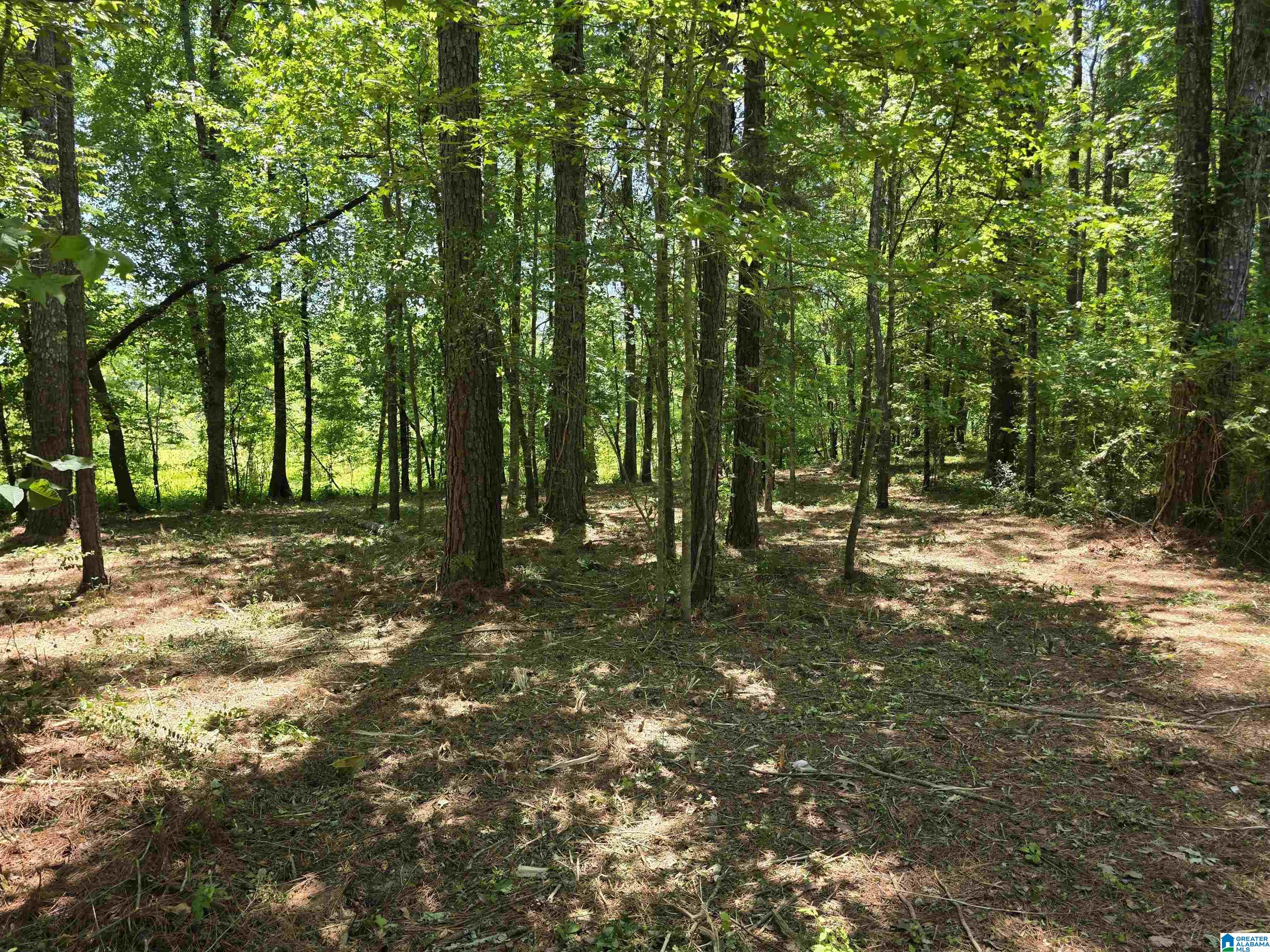 55 River Run Road Gadsden, AL 35901 - Photo 30 of 46 Gallery Image 30