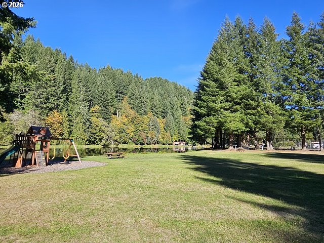 71563 Fishhawk Road Birkenfeld, OR 97016 - Photo 22 of 28 Community Playground