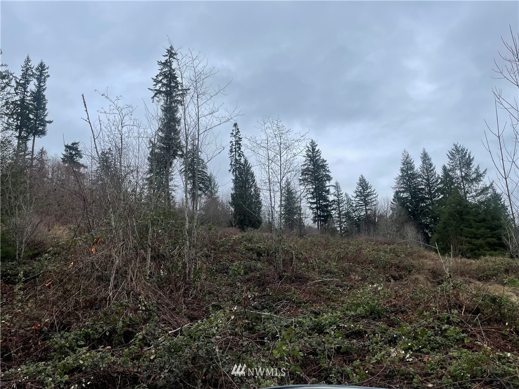 38 Dunbar Road Kelso, WA 98626 - Photo 6 of 9 Gallery Image 6
