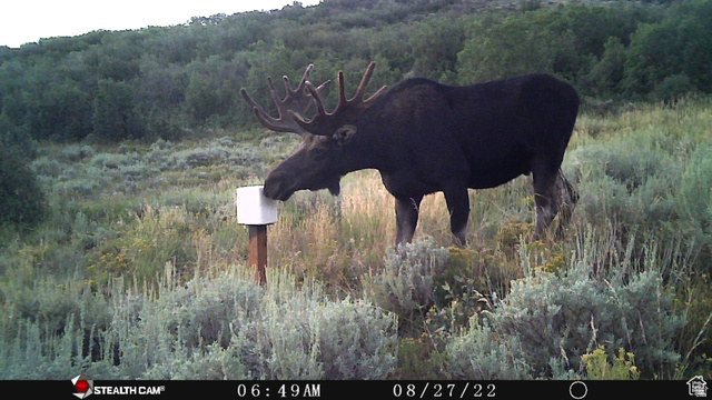 28 Moose Horn Road, Unit 28 Coalville, UT 84017 - Photo 24 of 38