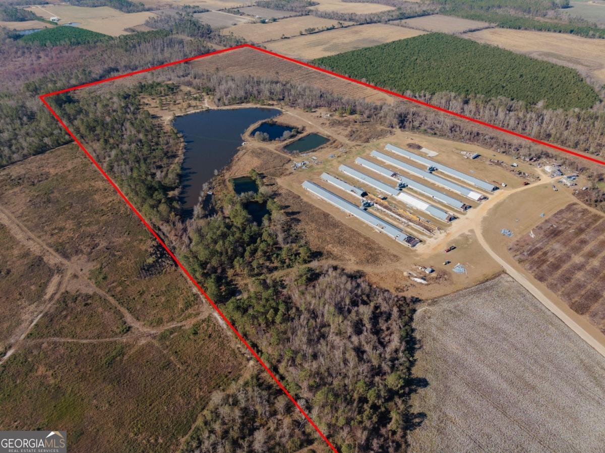 0 Mims Farm Road Nicholls, GA 31554 - Photo 1 of 1 Gallery Image 1