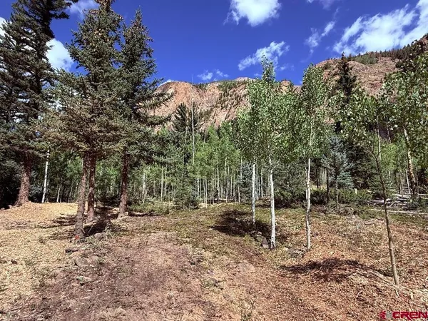a view of a park with large trees