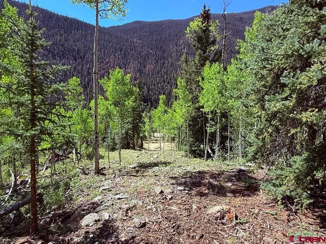a view of a back yard
