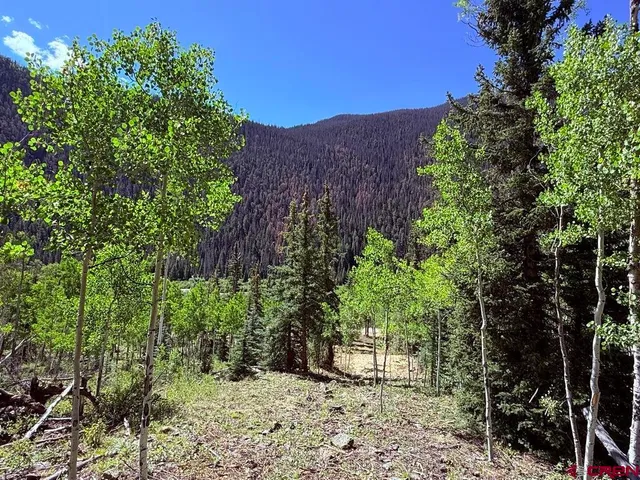 a view of a flower in a garden