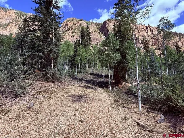 a view of backyard with green space
