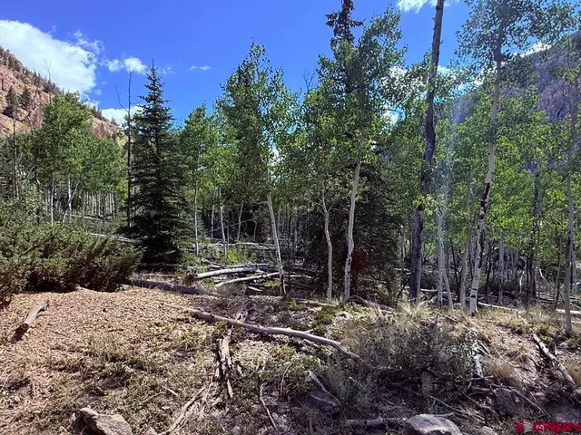 a view of a large yard with lots of green space