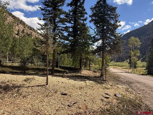 a backyard of a house with a tree