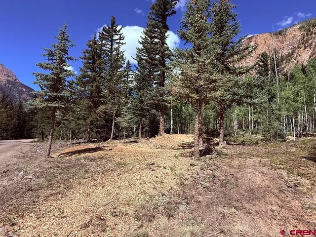 a view of a yard with trees