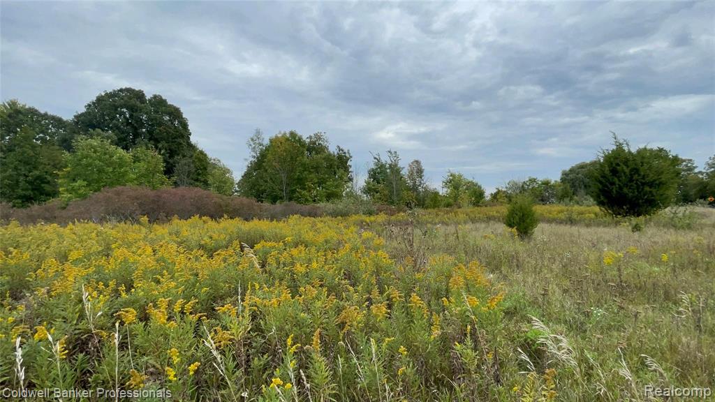 2947 Parmenter Road Corunna, MI 48817 - Photo 50 of 51