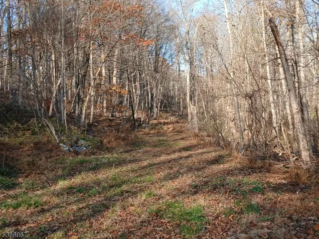 a view of backyard with green space