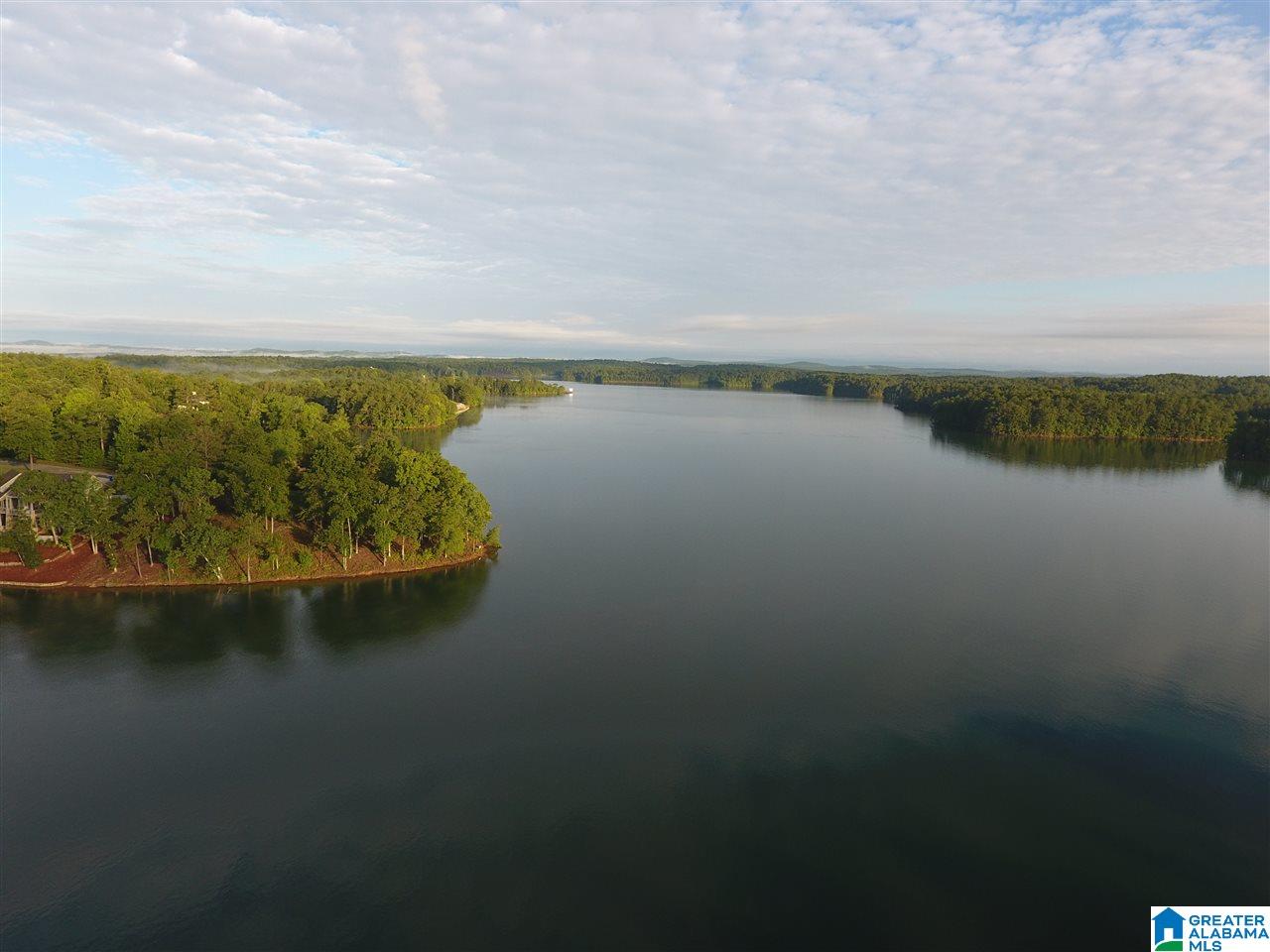 Lot 18 Emerald Point, Unit 18 Wedowee, AL 36278 - Photo 9 of 10