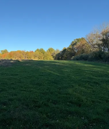 a view of grassy field with mountain