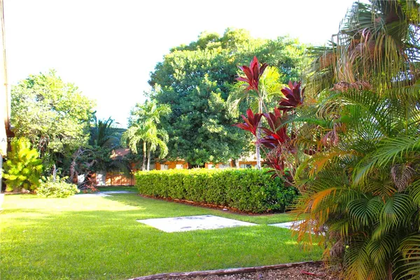 a front view of a house with a tree and a yard