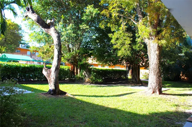 a view of a house with a yard and tree s