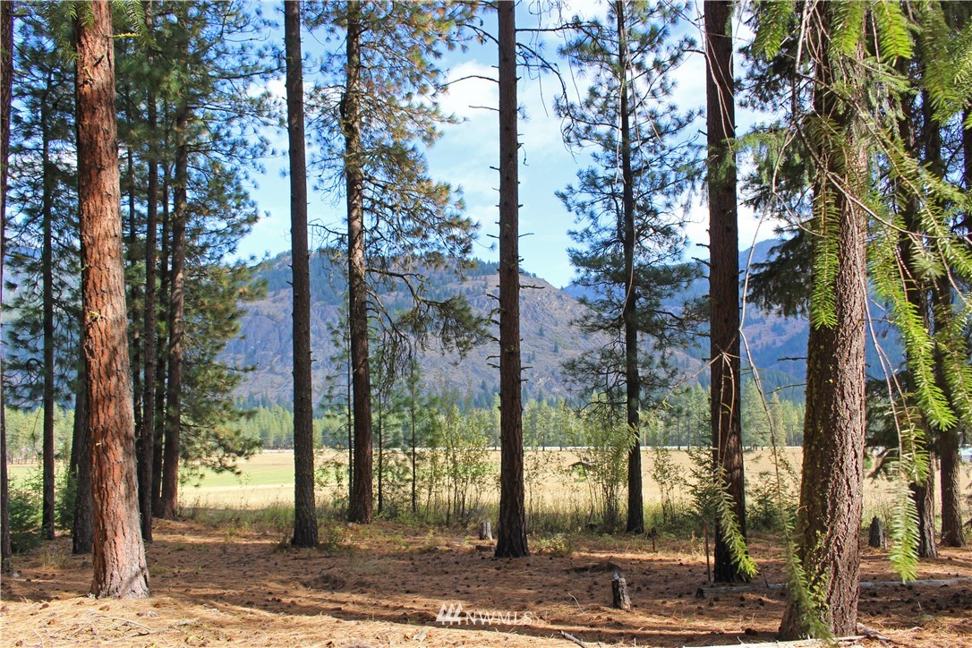 3 Alpine Valley Way Winthrop, WA 98862 - Photo 1 of 17 Gallery Image 1