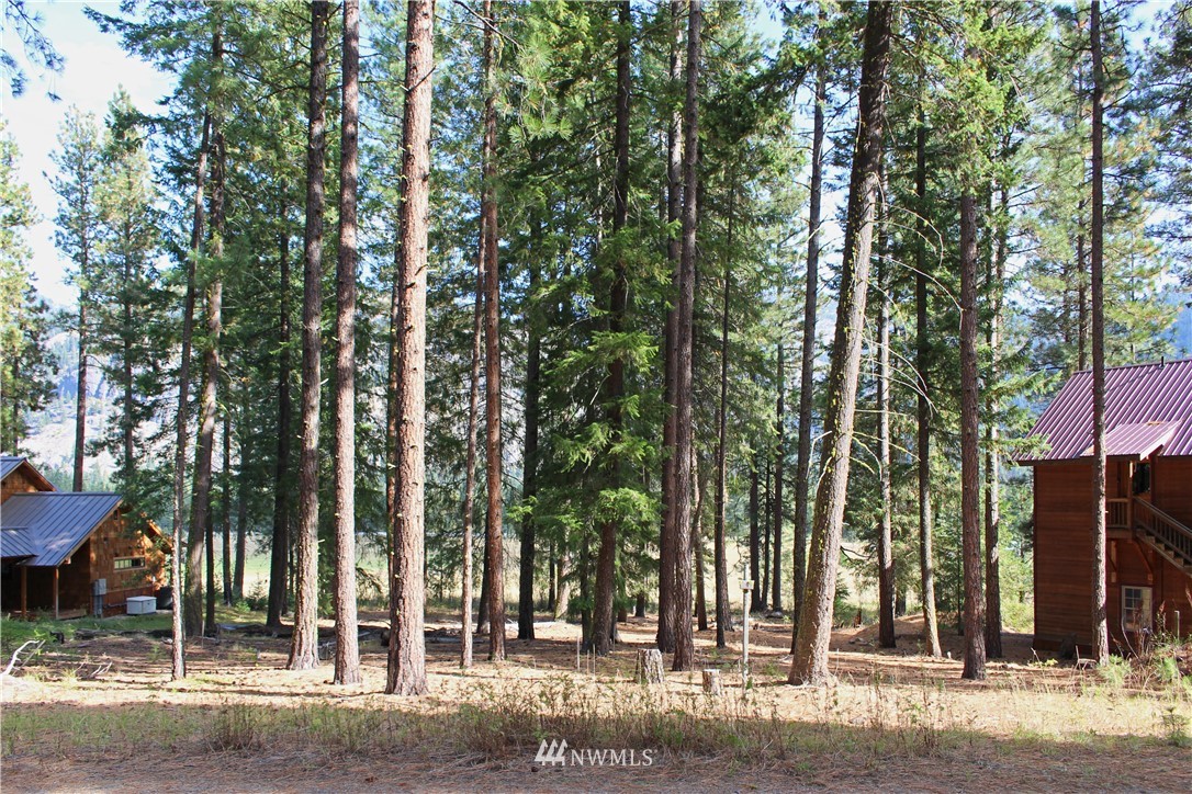 3 Alpine Valley Way Winthrop, WA 98862 - Photo 11 of 17 Gallery Image 11