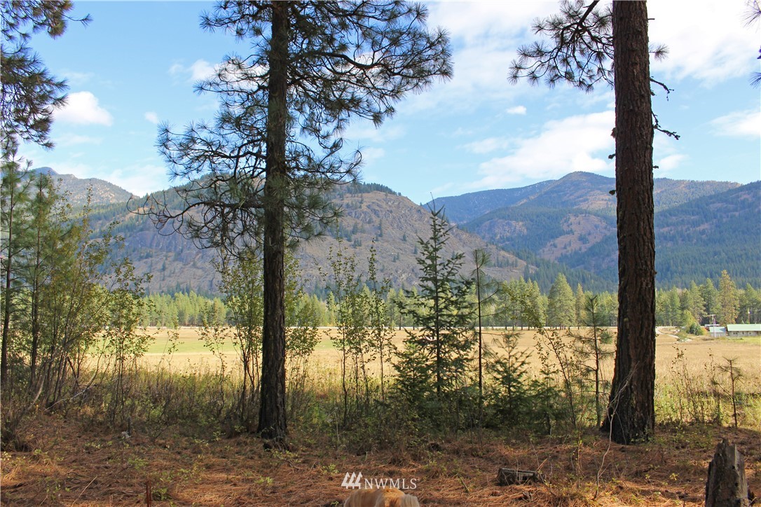 3 Alpine Valley Way Winthrop, WA 98862 - Photo 12 of 17 Gallery Image 12