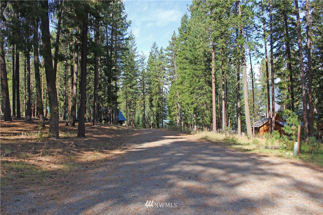 3 Alpine Valley Way Winthrop, WA 98862 - Photo 13 of 17 Gallery Image 13