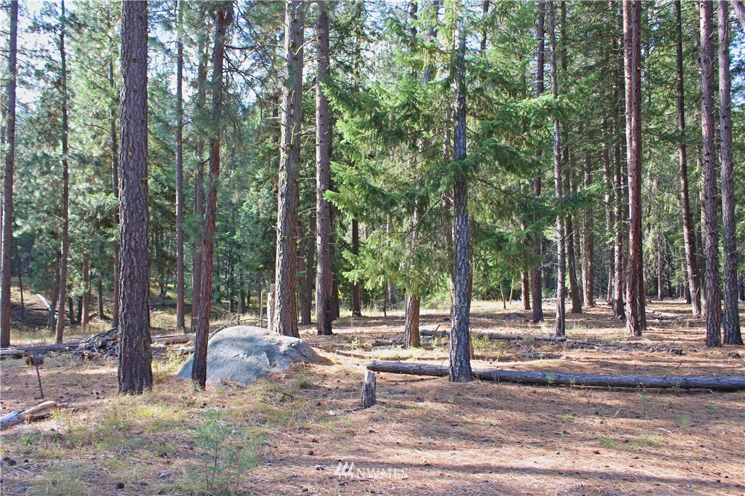 3 Alpine Valley Way Winthrop, WA 98862 - Photo 14 of 17 Gallery Image 14