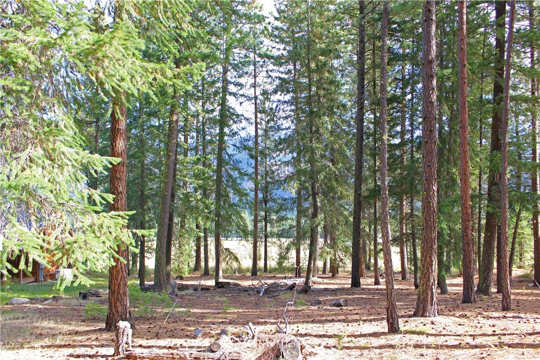 3 Alpine Valley Way Winthrop, WA 98862 - Photo 7 of 17 Gallery Image 7