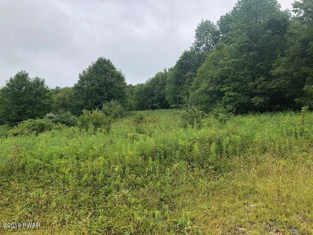 Pond Road Susquehanna, PA 18847 - Photo 6 of 9