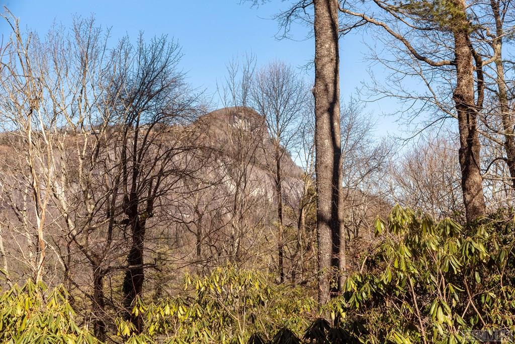 2101 Falcon Ridge Highlands, NC 28741 - Photo 19 of 60 Gallery Image 19
