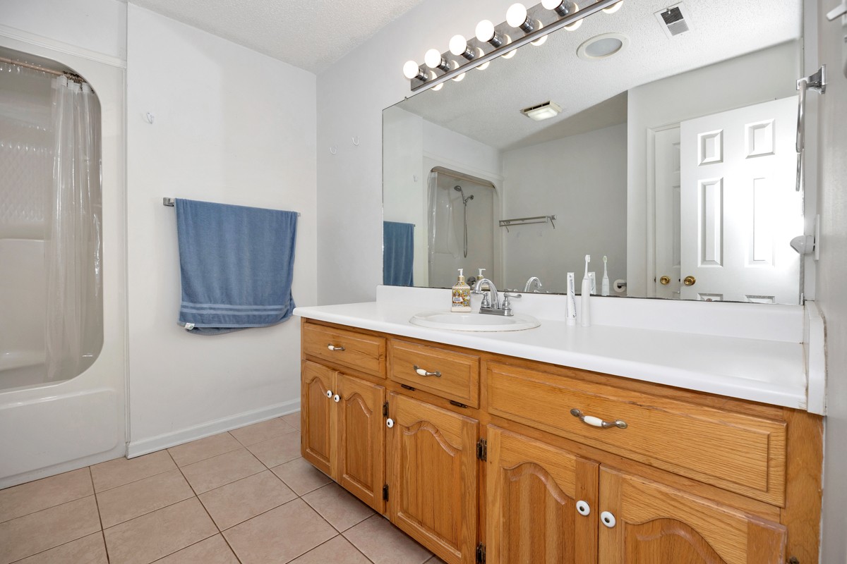 81 Slaughter Pen Road Ardmore, TN 38449 - Photo 17 of 63 a bathroom with a sink vanity and mirror