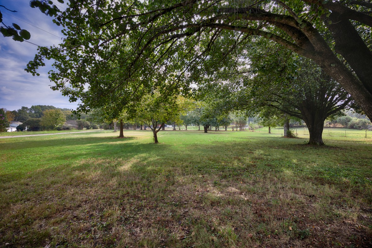 81 Slaughter Pen Road Ardmore, TN 38449 - Photo 24 of 63 a view of grassy field with benches and trees all around