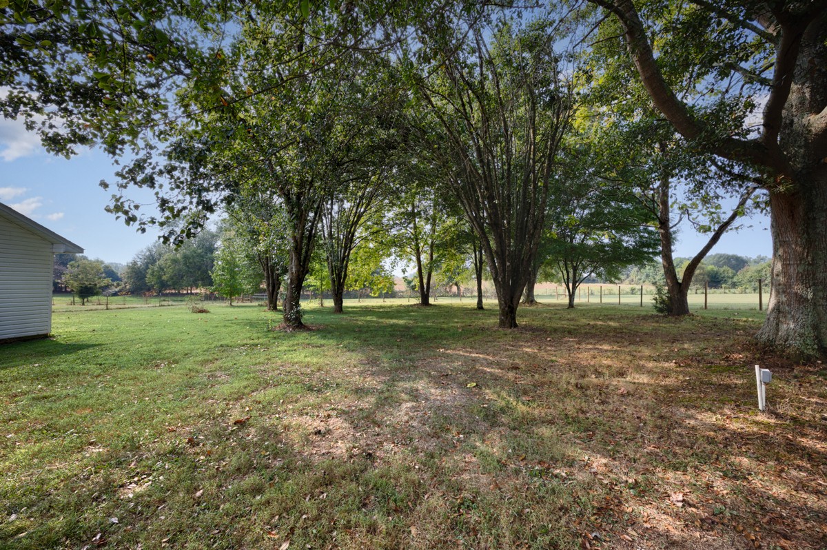 81 Slaughter Pen Road Ardmore, TN 38449 - Photo 28 of 63 a view of outdoor space with deck and tree