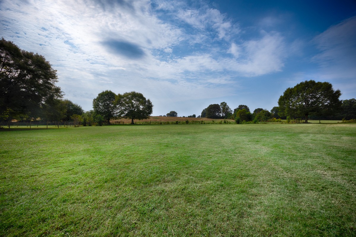 81 Slaughter Pen Road Ardmore, TN 38449 - Photo 29 of 63 a view of a grassy field