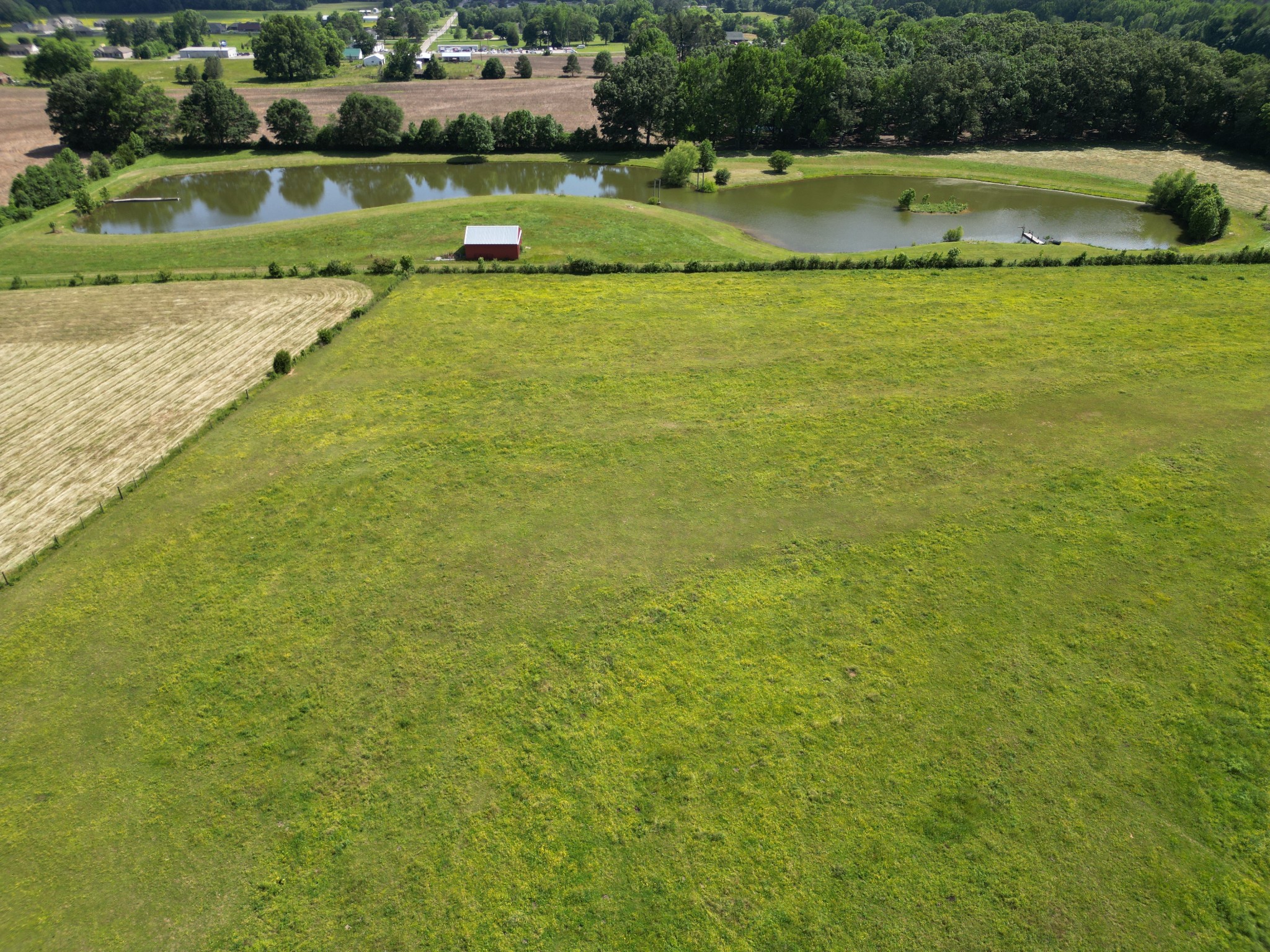 81 Slaughter Pen Road Ardmore, TN 38449 - Photo 41 of 63