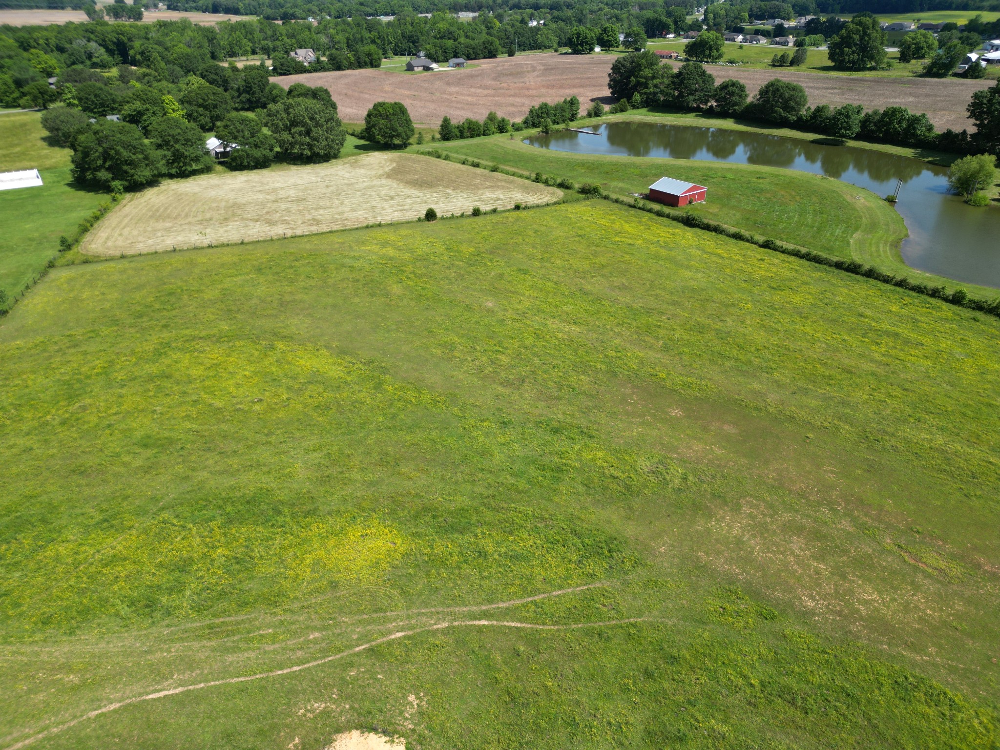 81 Slaughter Pen Road Ardmore, TN 38449 - Photo 43 of 63