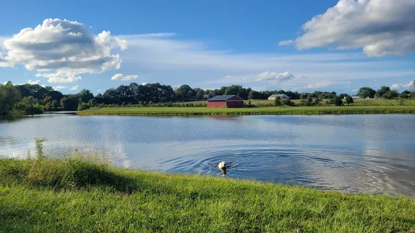 $699,000 | 81 Slaughter Pen Road, Ardmore, TN 38449