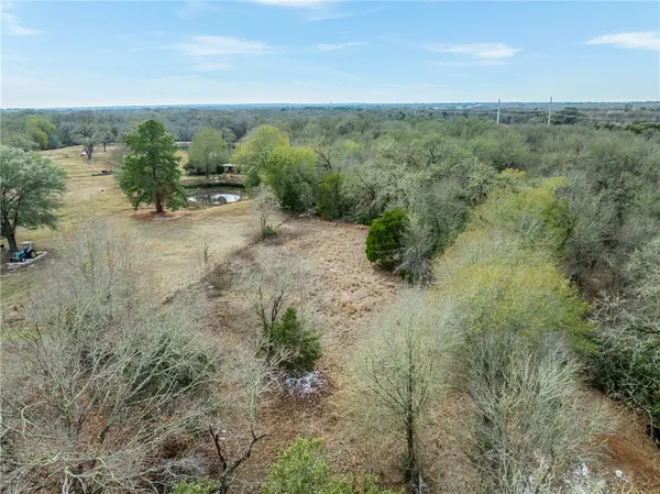 a view of a forest with trees in the background