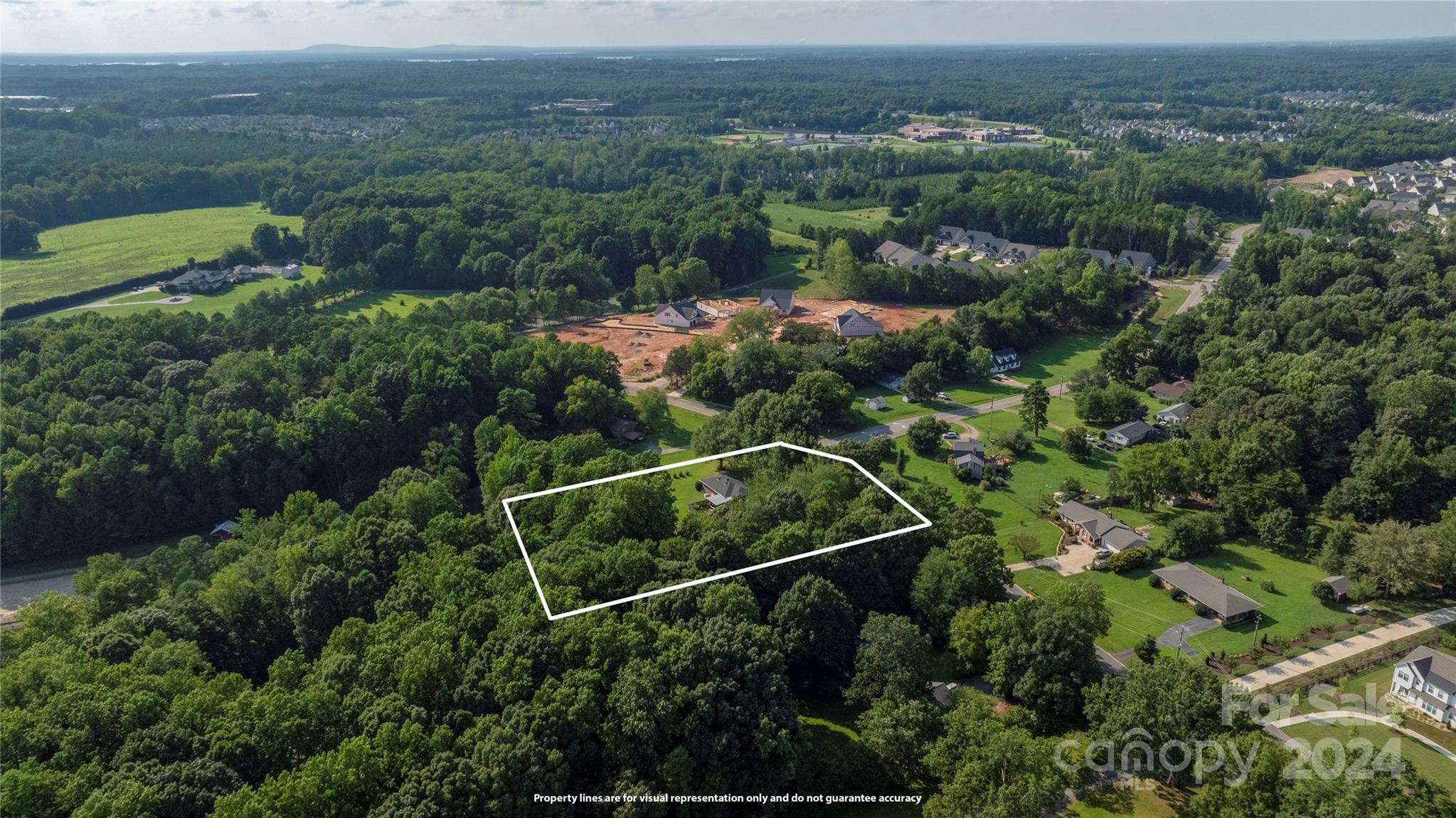13002 Mayes Road Huntersville, NC 28078 - Photo 41 of 43 an aerial view of mountain with trees