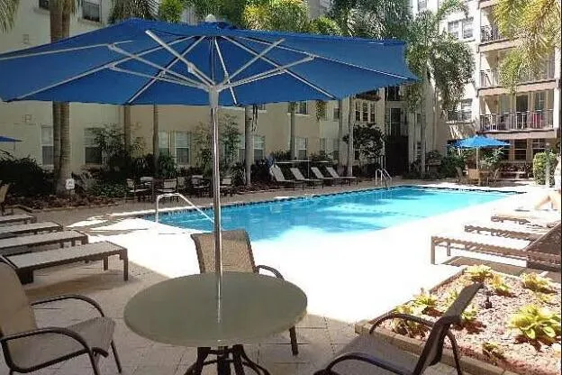 a view of a patio with plants and chairs