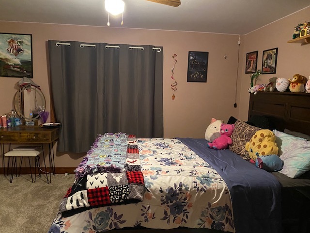 4373 East 250th Road Mendota, IL 61342 - Photo 9 of 26 a bedroom with a bed and furniture