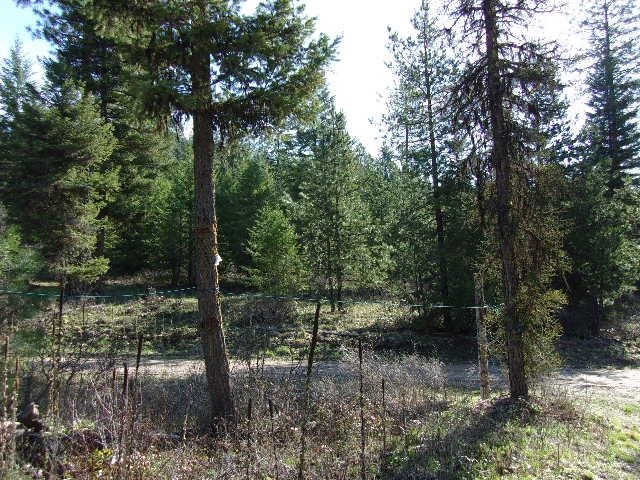 3445 Glasser Hill Road Valley, WA 99181 - Photo 16 of 22