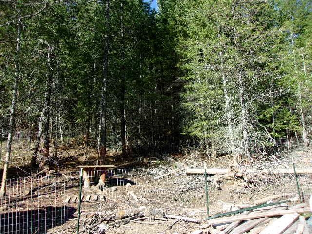 3445 Glasser Hill Road Valley, WA 99181 - Photo 6 of 22