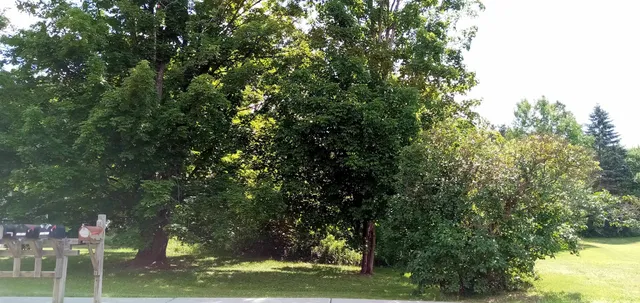 $249,000 | 373 Congress Street, Morristown, VT 05661