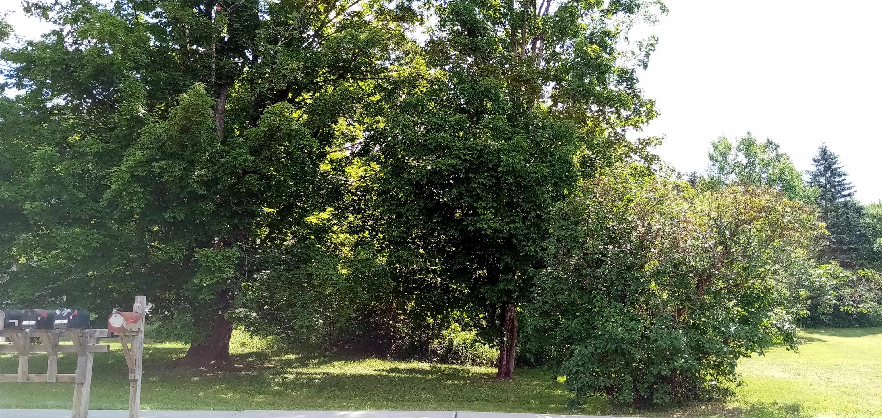 373 Congress Street Morristown, VT 05661 - Photo 4 of 5