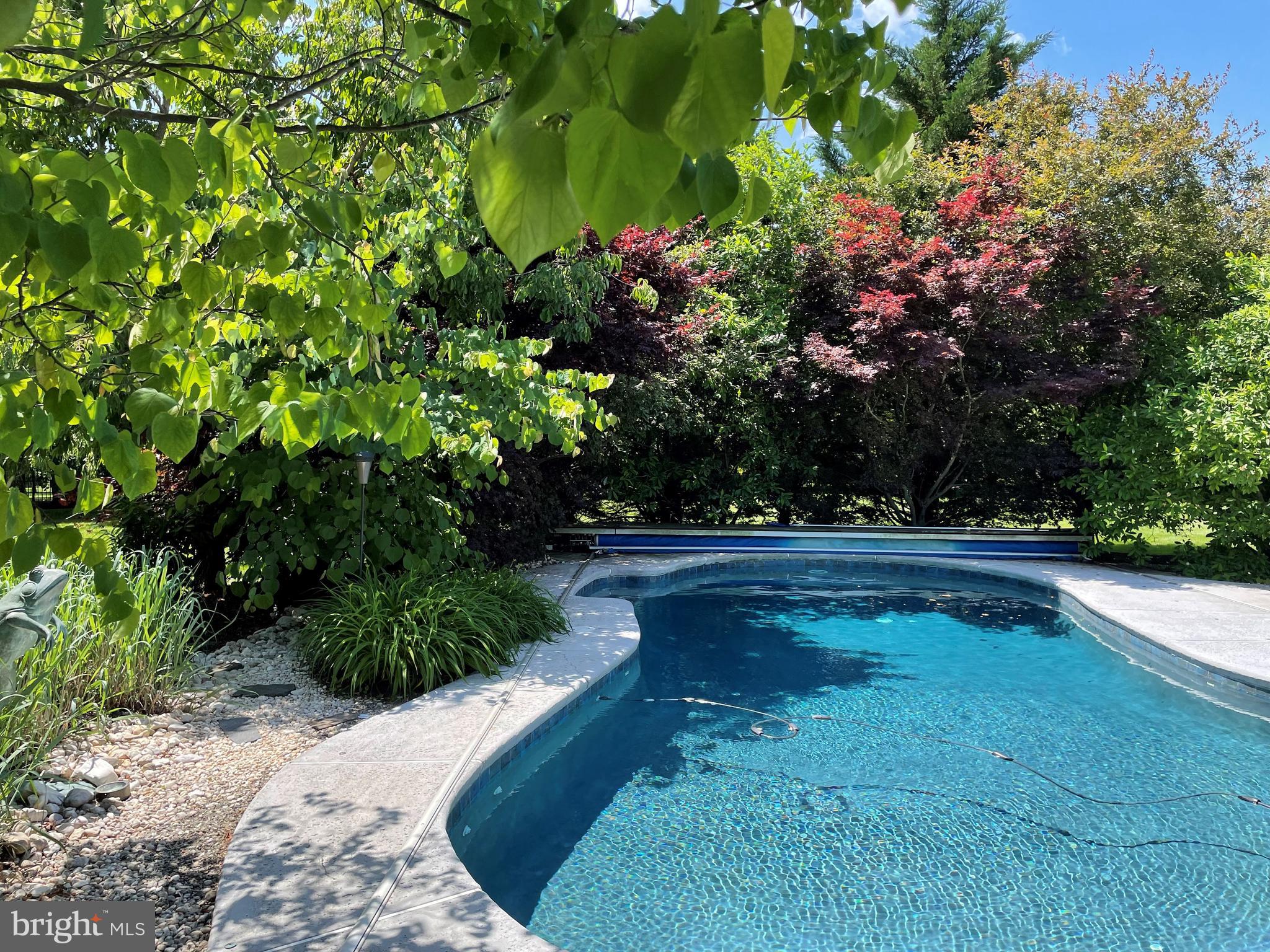 2569 Cold Spring Road Lansdale, PA 19446 - Photo 49 of 77 Heated Saltwater Pool