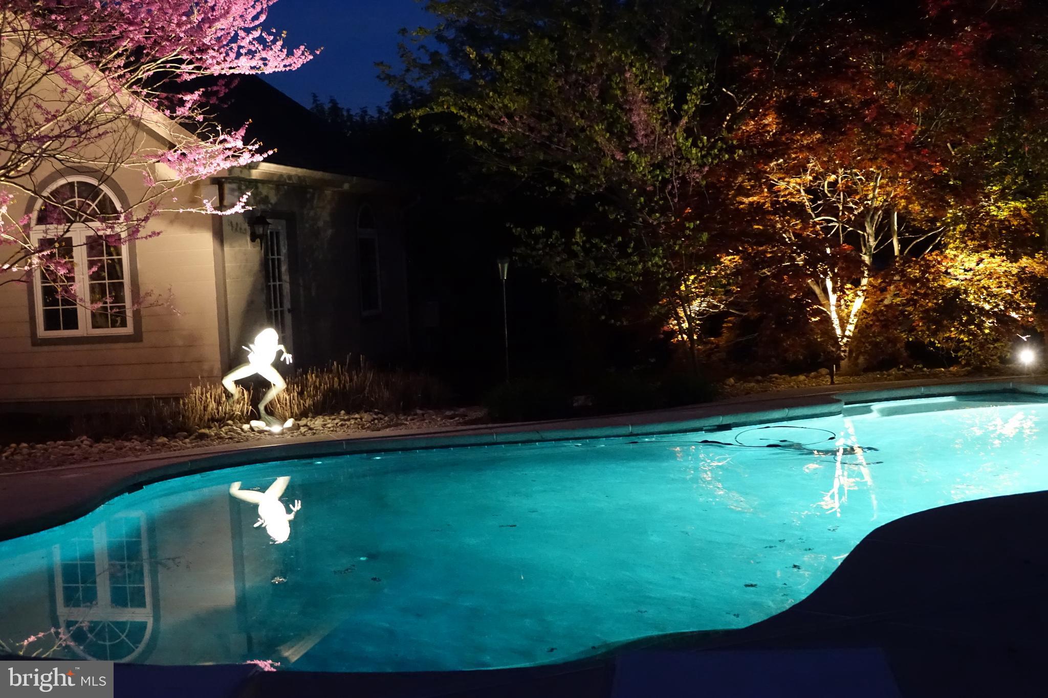 2569 Cold Spring Road Lansdale, PA 19446 - Photo 52 of 77 Pool Lighting Package