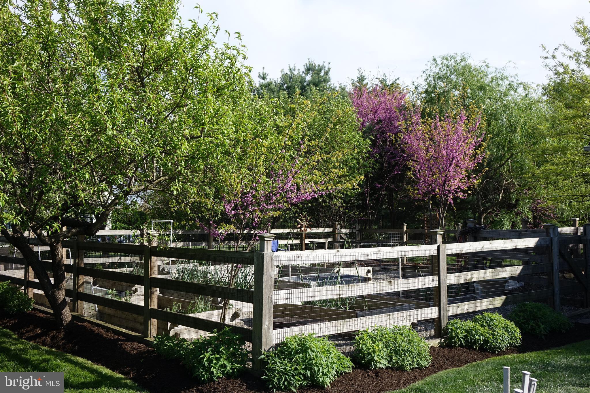 2569 Cold Spring Road Lansdale, PA 19446 - Photo 62 of 77 Fenced Garden