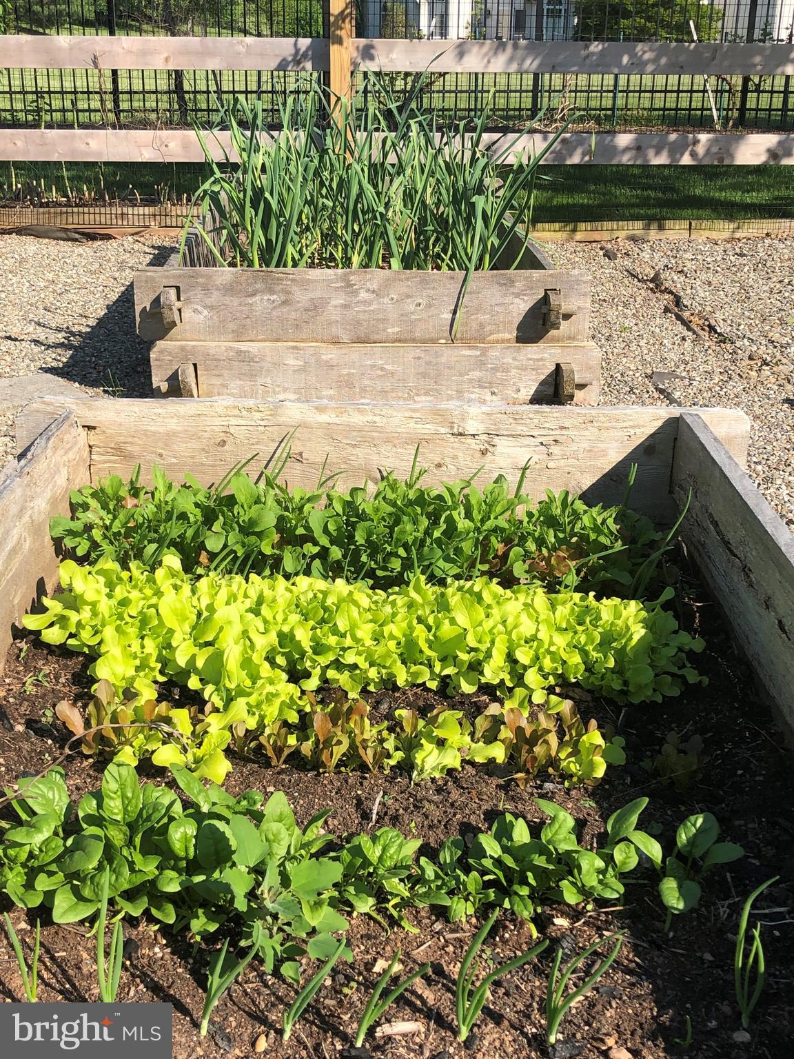 2569 Cold Spring Road Lansdale, PA 19446 - Photo 63 of 77 Raised Beds