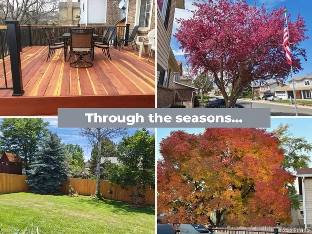 $572,000 | 6122 West 113th Avenue, Westminster, CO 80020