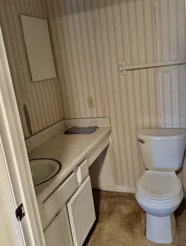 a bathroom with a sink and a toilet
