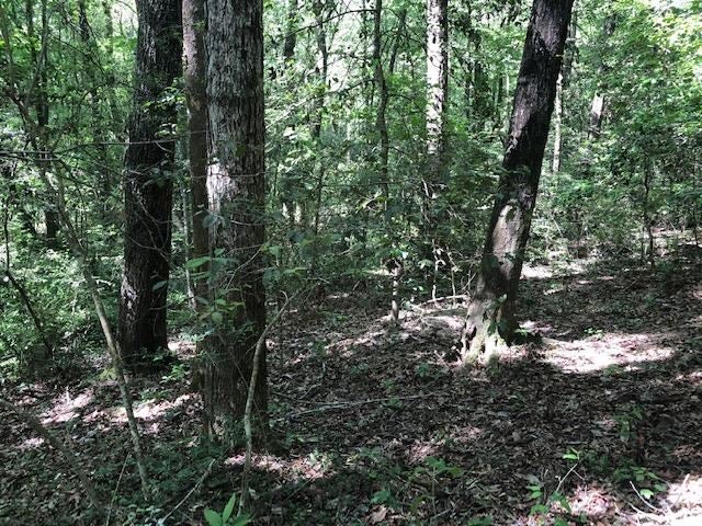 331 NORTH Opp Al Opp, AL 36467 - Photo 12 of 38 Gallery Image 12